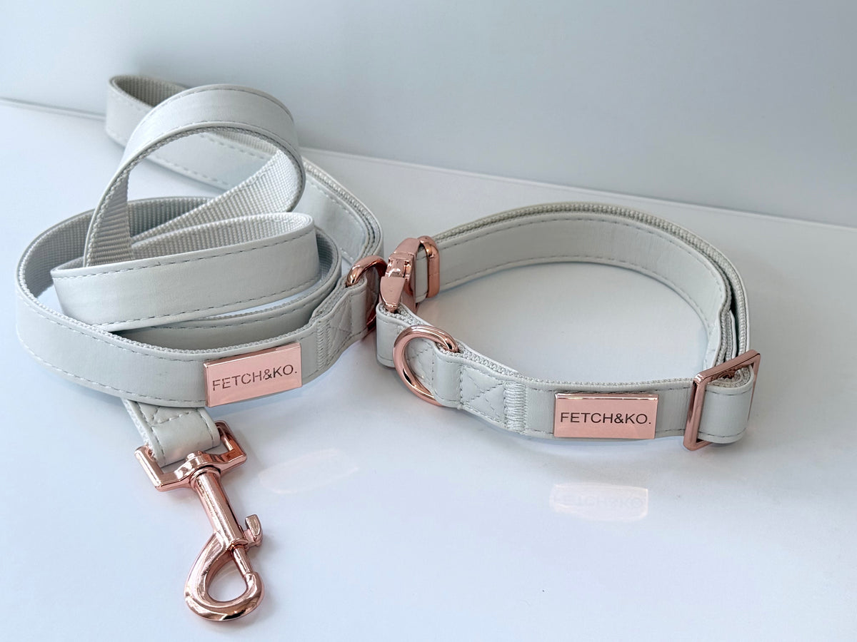 The Collar & Lead Set - Latte