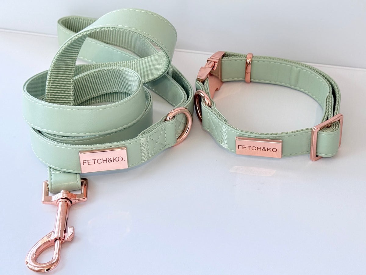 The Collar & Lead Set - Olive