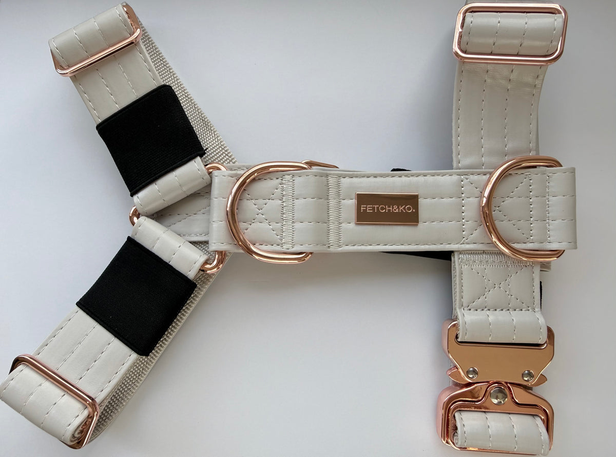 Harness - Latte