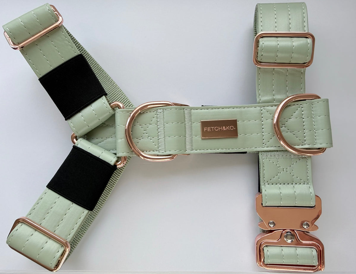Harness - Olive